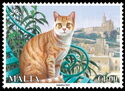 Cats of Malta