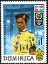 Dominican Scout,Flag