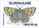 Duke of Burgundy (Hamearis lucina)
