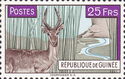 Western Reedbuck (Redunca redunca)