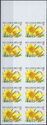Booklet Wild Daffodil