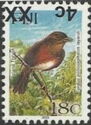 Island Thrush (Turdus poliocephalus layardi)