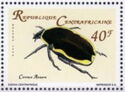 Rose Chafer (Cetonia aurata)