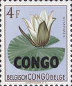 Nymphaea maculata - Overprinted CONGO