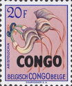 Aristolochia congolana overprinted CONGO