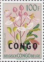 Cryptosepalum katangense overprinted CONGO