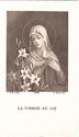 "Saint Mary - Lily (Lilies)", A. Roblot - Paris (FR), 4393