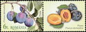 Plums (Prunus domestica)