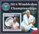 Tennis - 2014 Wimbledon Championships