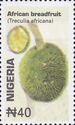 African breadfruit