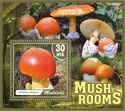 Mushrooms