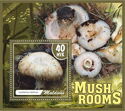 Mushrooms