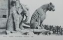 Paris. Notre Dame. Elephant and Lion (chimeras)