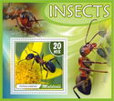Insects
