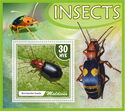 Insects