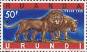 Lion (Panthera leo)