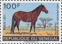 Pass (Equus ferus caballus)