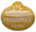 Discovered Pomegranate
