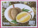 Durian fruit (Durio zibethinus)