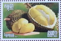 Durian fruit (Durio zibethinus)