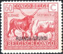 Watussi Cattle (Bos primigenius taurus) overprinted