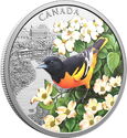 20 Dollars (Colourful Birds - Baltimore Oriole)