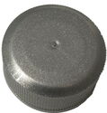 Generic Silver Cap