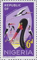 Saddle-billed Stork (Ephippiorhynchus senegalensis)