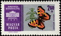 Small Tortoiseshell (Aglais urticae)