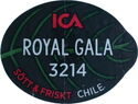ICA Royal Gala 3214