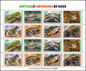 Reptiles and Amphibians of Niger
