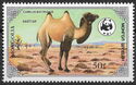 Bactrian Camel (Camelus bactrianus)