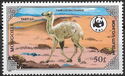 Bactrian Camel (Camelus bactrianus)