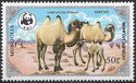 Bactrian Camel (Camelus bactrianus)