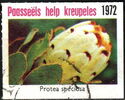 Paasseëls - Help kreupeles