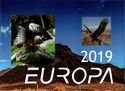 EUROPA 2019 - Eagles