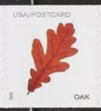 Oak Leaf
