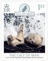 Calf of Man Wart Bank Marine Nature Reserve : Seals