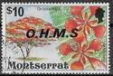 Flamboyant Tree (Delonix regia) - Overprinted