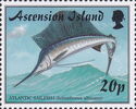 Atlantic Sailfish (Istiophorus albicans)