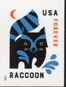 Raccoon