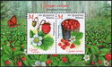 Woodland Strawberry (Fragaria vesca)