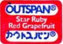 Outspan Star Ruby Red Grapefruit