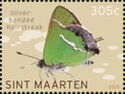 Silver-banded Hairstreak (Chlorostrymon simaethis)