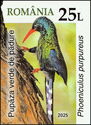 Green Wood Hoopoe (Phoeniculus purpureus)