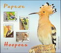 Hoopoes