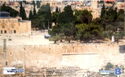 Jerusalem Puzzle 3\4