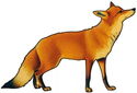 100 Francs (Wildlife in Golden Shapes - Fox)