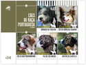 Dog Breeds of Portugal