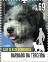 Terceira Bearded Cattle Dog